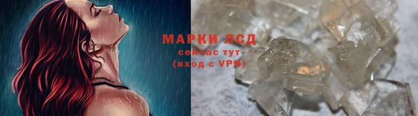 стаф Надым