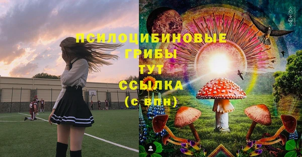 мет Нефтекумск
