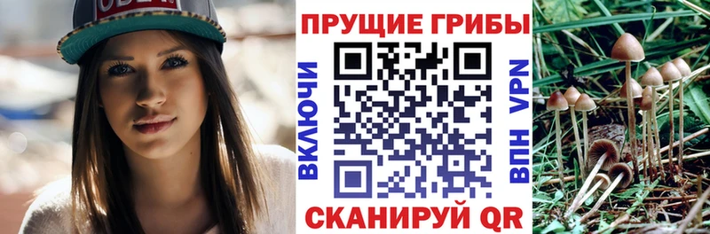 Галлюциногенные грибы ЛСД  KRAKEN как зайти  Волжский 