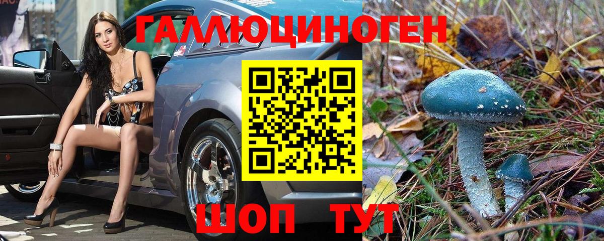 Галлюциногенные грибы прущие грибы Волжский