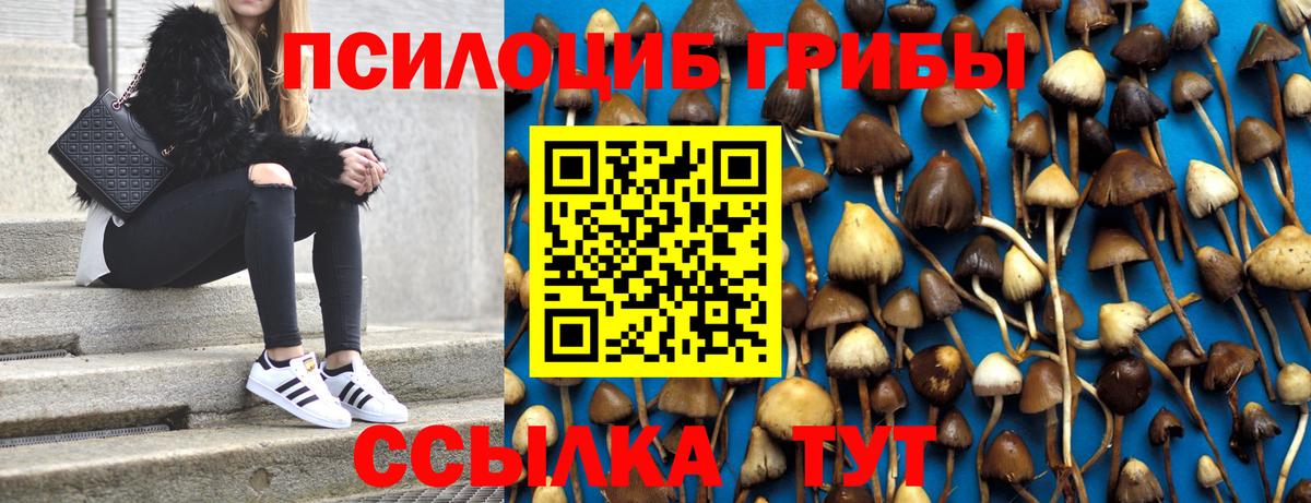 Галлюциногенные грибы Cubensis  Псилоцибиновые грибы прущие грибы  Волжский 