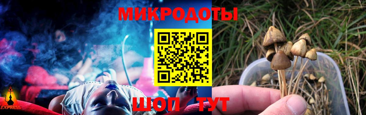 что такое   Галлюциногенные грибы Cubensis  Волжский  Вход с VPN  Псилоцибиновые грибы Psilocybe 